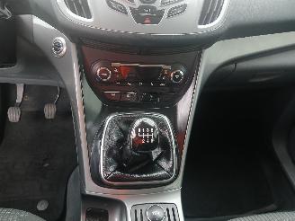 Ford C-Max C-Max (DXA) MPV 1.0 Ti-VCT EcoBoost 12V 125 (M1DA(Euro 5)) [92kW]  (10=
-2012/06-2019) picture 16