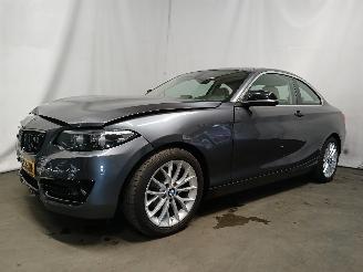 BMW 2-serie 2 serie (F22) Coupé 218i 1.5 TwinPower Turbo 12V (B38-B15A) [100kW] =
 (03-2015/06-2021) picture 3