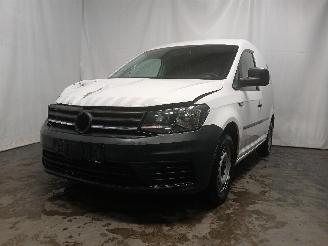 Schadeauto Volkswagen Caddy Caddy IV Van 2.0 TDI 75 (DFSC) [55kW]  (05-2015/09-2020) 2018/10