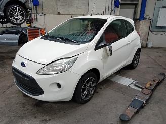  Ford Ka Ka II Hatchback 1.2 (169.A.4000(Euro 4; Euro 5)) [51kW]  (10-2008/05-2=
016) 2010/7
