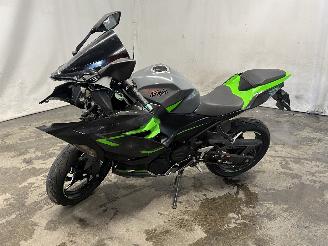 Kawasaki Ninja 500 SE  picture 3