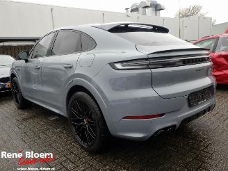 Porsche Cayenne 3.0 E-HYBRID Full Option 476pk picture 5