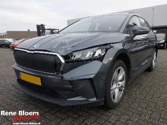  Skoda Enyaq iV 60 Navi 179pk 2021/12