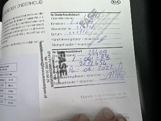 Kia e-Niro 64kWh 204pk aut + f1 DynamicPlusLine - schuifdak - nap - navi - cam - leer - stoelkoeling - stuurverw + stoelverw picture 62