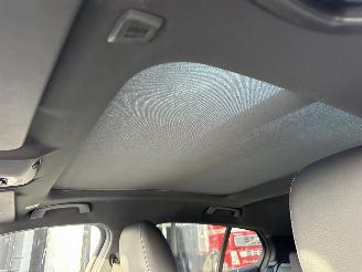 BMW 1-serie 118D 2.0 150pk 8-traps aut + f1 M-Sport - pano - front + line + side + park assist - sfeerverl - keyless - virtual picture 81