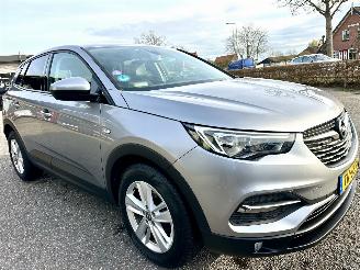 Opel Grandland X 1.2 Turbo 131pk 6-bak Online Edition - nap - navi - clima - cruise - pdc v+a - carplay - privacy glass picture 4