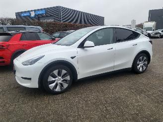  Tesla Model Y MODEL Y RWD 58 kWh 52000 km rijdbaar 2024/11