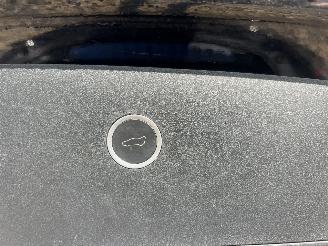 Tesla Model X 90D Base 6persoons/autopilot/volleder/nap picture 20