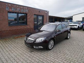 Opel Insignia Sports Tourer Innovation picture 16