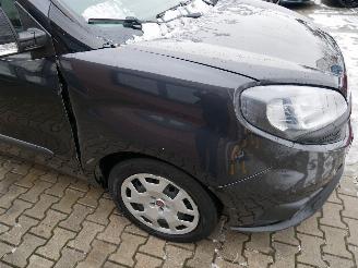 Fiat Doblo MAXI L2H1 picture 8