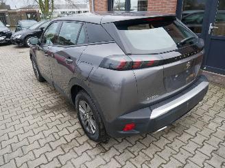 Peugeot 2008 ACTIVE LED picture 4