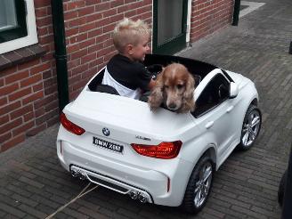 krockskadad bil overig Alle  GESLOTEN t/m 4 Januari 2026 2026/1