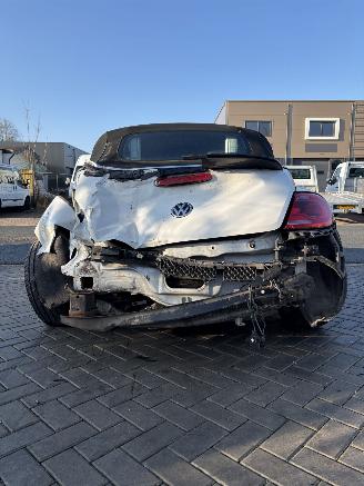 Volkswagen Beetle  picture 5