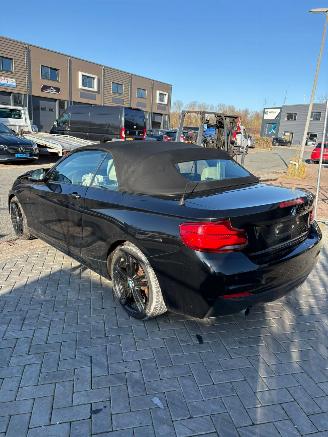 BMW 2-serie  picture 4