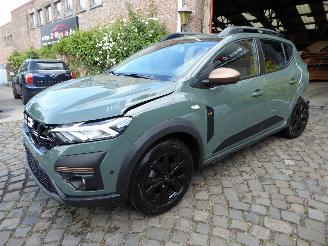 Avarii autoturisme Dacia Sandero Stepway Extreme 2023/8