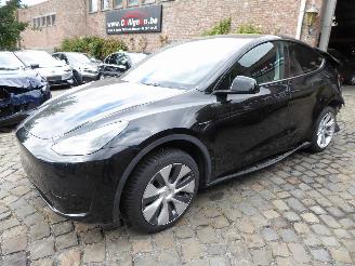 Damaged car Tesla Model Y  2024/1