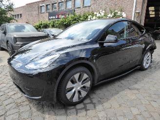 Unfallwagen Tesla Model Y  2024/1