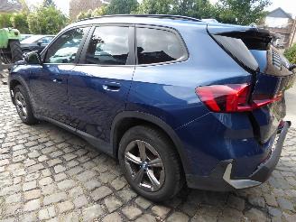BMW X1 25 e xDrive picture 8