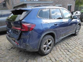 BMW X1 25 e xDrive picture 6