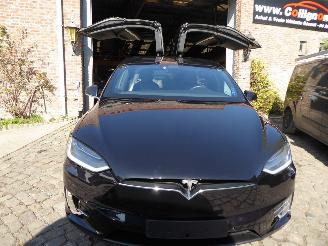 Tesla Model X Performance Dual picture 13