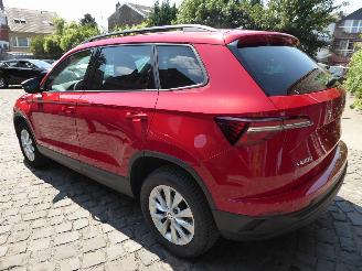 Skoda Karoq Selection picture 10