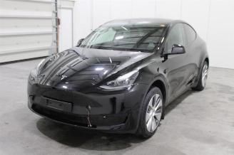 Unfallwagen Tesla Model Y  2024/8
