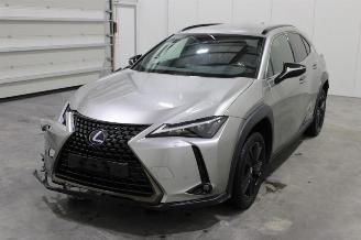 Schadeauto Lexus UX  2021/5