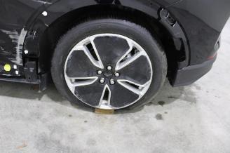 Ford Mustang Mach-e  picture 21