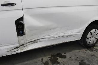 Volkswagen Transporter T6 picture 6