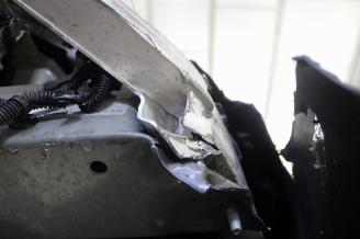 Tesla Model 3  picture 22