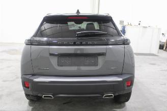 Peugeot 2008  picture 19