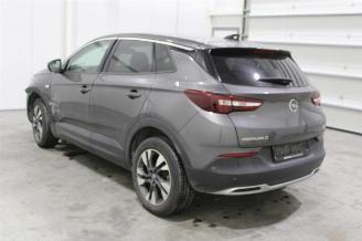 Opel Grandland X picture 4