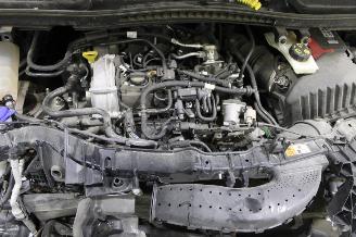 Ford Transit Connect  picture 13