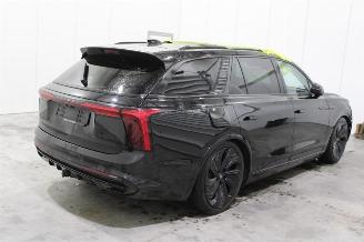 Hongqi EHS9 E-HS9 picture 4