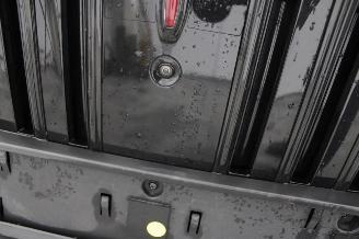 Hongqi EHS9 E-HS9 picture 6