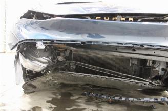 Cupra Born  picture 21