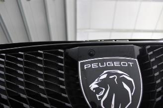 Peugeot 3008  picture 23