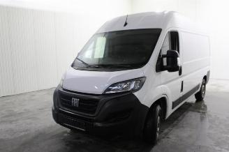 Uttjänta bilar auto Fiat Ducato  2023/6