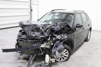 demontáž osobní automobily Skoda Kamiq  2023/7