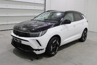 škoda osobní automobily Opel Grandland X 2023/4