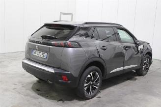 Peugeot 2008  picture 3