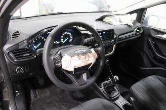 Ford Fiesta  picture 9