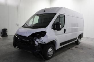 Schadeauto Opel Movano  2022/12