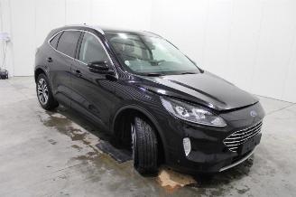 Ford Kuga  picture 3