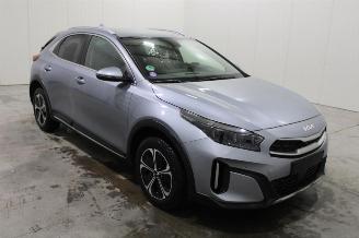 Kia Xceed  picture 2