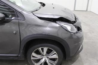 Peugeot 2008  picture 7