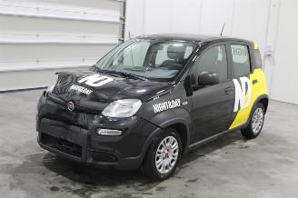 krockskadad bil auto Fiat Panda  2023/3