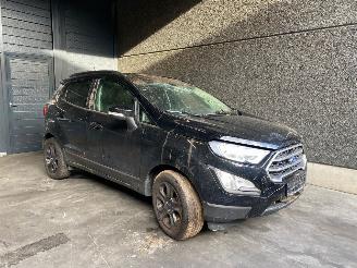 disassembly passenger cars Ford EcoSport (JK8) SUV 2013 1.0 EcoBoost 12V 125 SUV  Benzine 998cc 92kW (125pk) FWD 2019/10