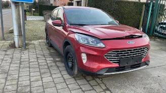 Coche siniestrado Ford Kuga Kuga III (DFK), SUV, 2019 1.5 EcoBlue 2020/7