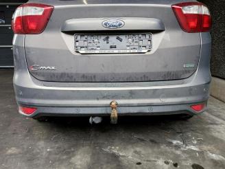 Ford C-Max C-Max (DXA), MPV, 2010 / 2019 1.0 Ti-VCT EcoBoost 12V 125 picture 13